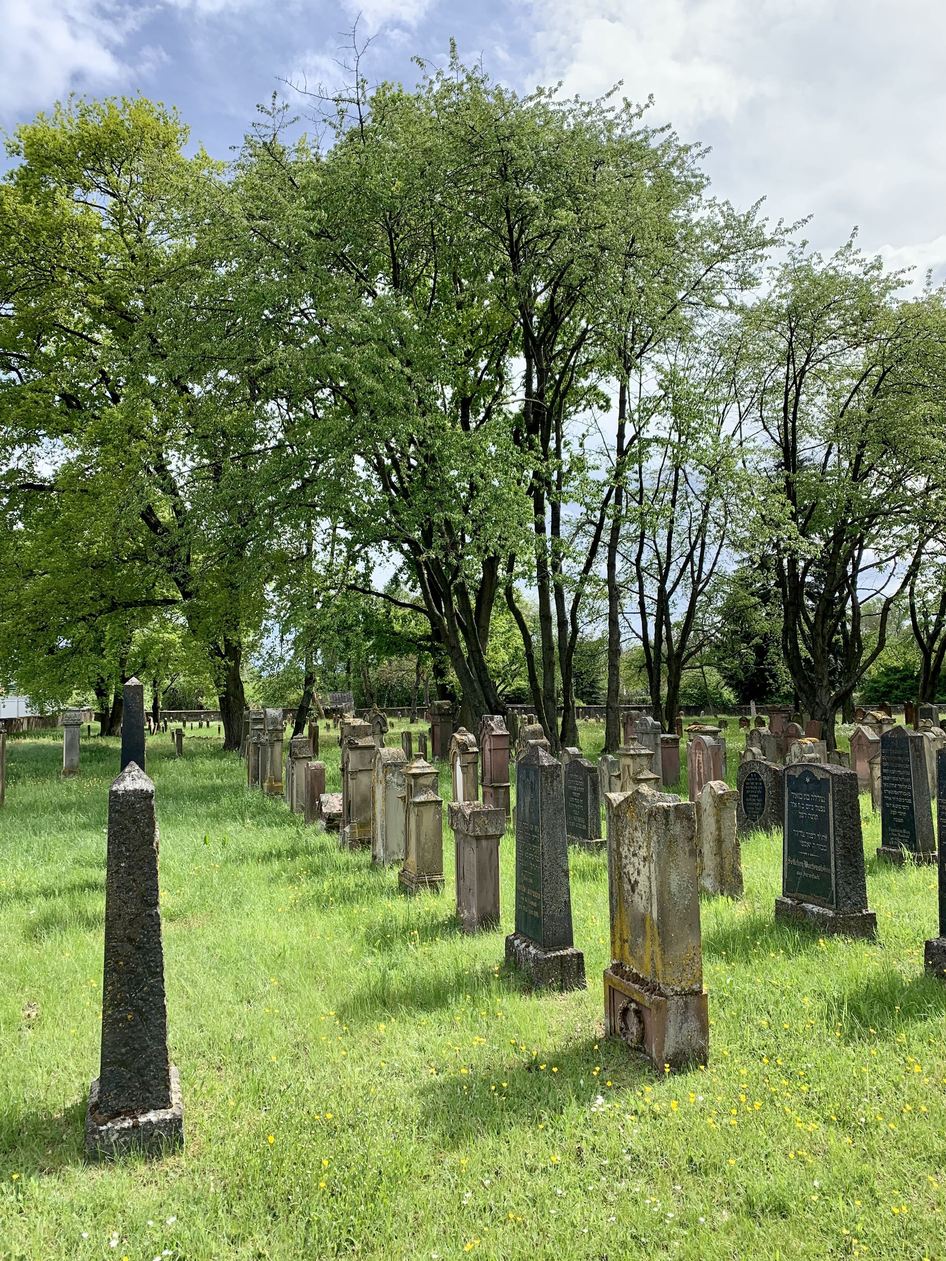 Blick auf den Jüdischen Friedhof Dieburg